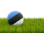 Estonia. Football in grass. Download icon.