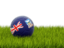 Falkland Islands. Football in grass. Download icon.