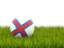 Фарерские острова. Футбольная мяч в траве. Скачать иконку.