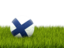 Finland. Football in grass. Download icon.