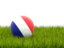 France. Football in grass. Download icon.