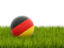 Germany. Football in grass. Download icon.