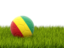 Guinea. Football in grass. Download icon.