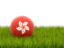 Гонконг. Футбольная мяч в траве. Скачать иллюстрацию.