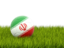 Iran. Football in grass. Download icon.