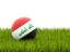 Iraq. Football in grass. Download icon.