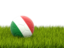 Italy. Football in grass. Download icon.