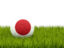 Japan. Football in grass. Download icon.