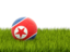 North Korea. Football in grass. Download icon.