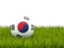 South Korea. Football in grass. Download icon.