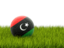 Libya. Football in grass. Download icon.