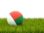 Madagascar. Football in grass. Download icon.