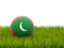 Мальдивы. Футбольная мяч в траве. Скачать иллюстрацию.