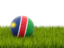 Namibia. Football in grass. Download icon.