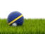 Nauru. Football in grass. Download icon.