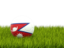 Nepal. Football in grass. Download icon.