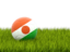 Нигер. Футбольная мяч в траве. Скачать иллюстрацию.