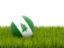 Norfolk Island. Football in grass. Download icon.