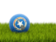Северные Марианские острова. Футбольная мяч в траве. Скачать иллюстрацию.