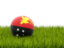 Папуа — Новая Гвинея. Футбольная мяч в траве. Скачать иконку.
