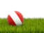 Перу. Футбольная мяч в траве. Скачать иллюстрацию.
