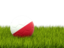 Польша. Футбольная мяч в траве. Скачать иллюстрацию.