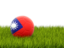 Тайвань. Футбольная мяч в траве. Скачать иллюстрацию.