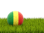 Republic of the Congo. Football in grass. Download icon.