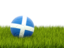 Scotland. Football in grass. Download icon.