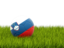 Slovenia. Football in grass. Download icon.