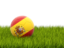 Spain. Football in grass. Download icon.