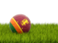 Sri Lanka. Football in grass. Download icon.