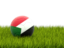 Судан. Футбольная мяч в траве. Скачать иллюстрацию.