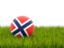 Svalbard and Jan Mayen. Football in grass. Download icon.