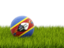 Swaziland. Football in grass. Download icon.