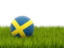 Sweden. Football in grass. Download icon.