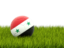 Сирия. Футбольная мяч в траве. Скачать иллюстрацию.
