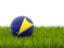 Tokelau. Football in grass. Download icon.