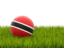 Trinidad and Tobago. Football in grass. Download icon.