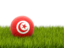 Tunisia. Football in grass. Download icon.