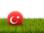 Turkey. Football in grass. Download icon.