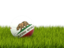 Flag of state of California. Football in grass. Download icon