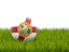 Flag of state of Florida. Football in grass. Download icon