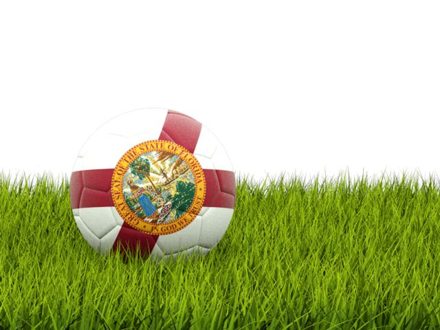 Football in grass. Download flag icon of Florida