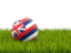 Flag of state of Hawaii. Football in grass. Download icon