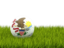 Flag of state of Illinois. Football in grass. Download icon