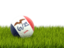 Flag of state of Iowa. Football in grass. Download icon