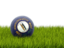 Flag of state of Kentucky. Football in grass. Download icon