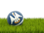 Flag of state of Louisiana. Football in grass. Download icon