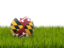 Flag of state of Maryland. Football in grass. Download icon